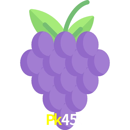 Pk456